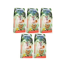 Rodmozz Kemirgen Hamster Guineapig Tavşan Yemi 700 gr 5 Adet
