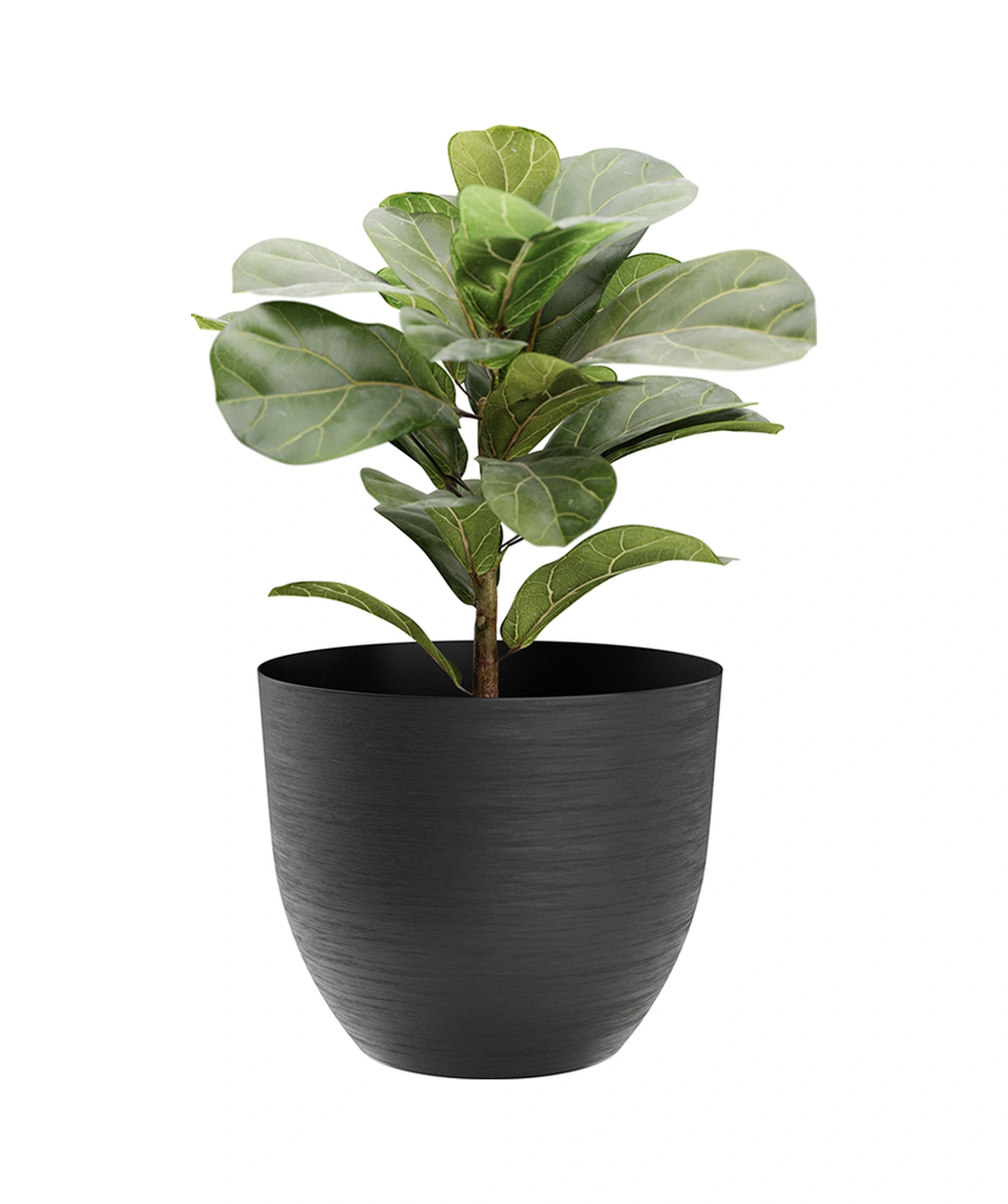 Over 38 Siyah Plastik Saksı + Su Seviyesi Göstergesi 38 Cm