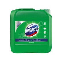 4 Adet Domestos Çamaşır Suyu Dağ Esintisi 5 Lt Diğer