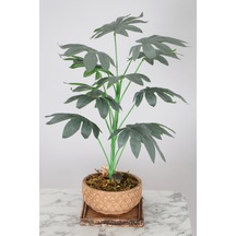 Yapay Çiçek Deposu Retro Altlıklı Beton Saksida Yapay 12 Yapraklı Bitki 45 Cm