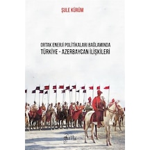 Ortak Enerji Politikaları Bağlamında Türkiye - Azebaycan İlişk...