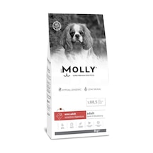 Molly Düşük Tahıllı Hypoallergenic Kuzulu Ve Yaban Mersinli Küçük Irk Yetişkin Köpek Maması 8 Kg