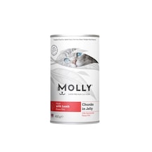 Molly Kuzu Etli Jöleli Yetişkin Kedi Konservesi 400 G