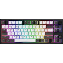 Skyfall Pro Wireless Grey-black %80 Aurum Vanilla Silent Sw Rgb Kablosuz Klavye Htk4180