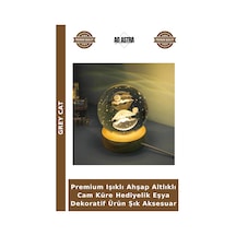 Premium Işıklı Ahşap Altlıklı Cam Küre Hediyelik Eşya Dekoratif Ürün Şık Aksesuar