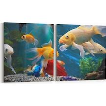 Olla 85x40 Cm 12145k2y Akvaryum / Balık Görseli Kare 2'li Yatay Kanvas Tablo