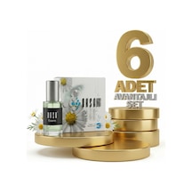 Aksa Sürme Esans Klasik Meryem 6x5 Cc Diğer