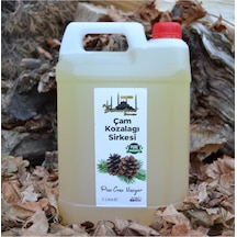 Çam Kozalağı Sirkesi 5lt %100 Katkısız Doğal
