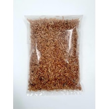 25 Gr Gammarus Karides Kaplumbağa Yemi