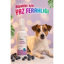 Reflex Care Yaban Mersini Kokulu Köpek Kolonyası 125 Ml