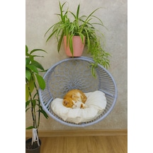Hilal Kedi Köpek Kalorifer Askılı Yatak