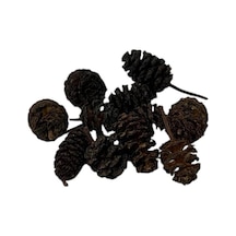 Karides Kozalağı Kızılağaç Kozalağı İthal 5 Adet
