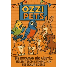Ozzipetshop Zilli Kuş Topu Hareketli Tunekli Kuş Oyuncagi