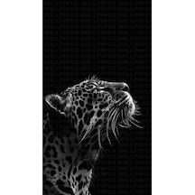 Siyah Beyaz Jaguar Poster Duvar Kağıdı Renkli