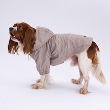 Vizon Mont Köpek Mont Köpek Kıyafeti Köpek Yağmurluğu