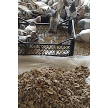 Doğal Güvercin Gübresi 3 Kg
