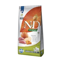 N&d Pumpkin Kuru Köpek Maması, Tahılsız, Yaban Domuzu Ve Elmalı, Yetişkin Medium Ve Maxi, 12 Kg