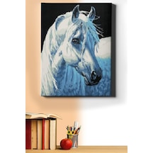 Webstyle Sayılarla Boyama Seti Kasnaklı Kırat 60 X 75 Cm