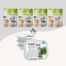 Kediler İçin Ödül Seti1 4 Farklı Aromalı Kedi Çorbası + Kedi Çimi