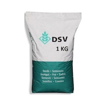 Yonca Ak Üçgül Tohumu Dsv Trifolium Repens 1 Kg