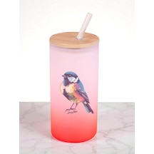 Modern Kuş Baskılı 600 Ml Cam Matara- Su Matarası, Suluk Matara, Cam Pipetli Matara Kırmızı