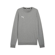 Puma Teamgoal Casuals Crew Neck Erkek Futbol Sweatshirts 65859233 Gri Pchs-2