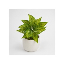 Yapay Sarı Croton Calathea 48 Cm - Dekoratif Vazo İçi Islak Dokulu Yaprak Dalı Saksısız Çok Renkli