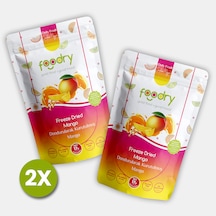 Freeze-dry Mango Freeze Dried Mango Dondurularak Kurutulmuş Meyve Kurusu 17g 2 34 G