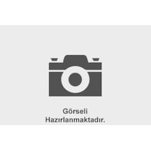 1987302805 7701049263 12v Standart H8 Ampul 35w