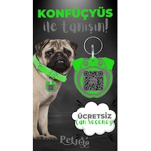 Petjoo 9.Konfüçyüs Gri-Yeşil Qr'lı Köpek Künyesi