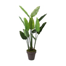 Yapay Tropik Starliçe Ağacı 155 Cm-9456