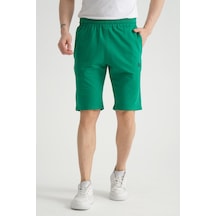 Mint Yeşili