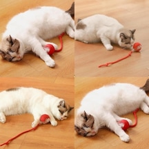 Büro Ev Evcil Hayvanı İçin Şarjlı Kedi Oyuncağı