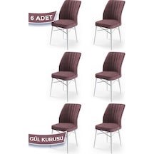 Gülkurusu - Beyaz