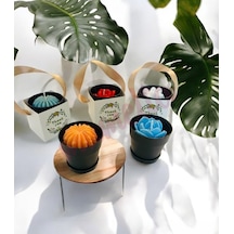 Mumelia Mini Siyah Saksıda Sukulent - Doğal Soya Hediyelik Mum - 15 .
