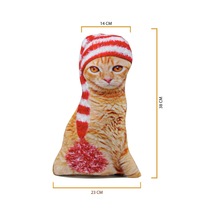 Canlı 3d Lüks Kedi Dekoratif Yastık Sarman Renkli