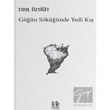 Göğün Söküğünde Yedi Kış - Erol Özyiğit - Pikaresk Yayınevi