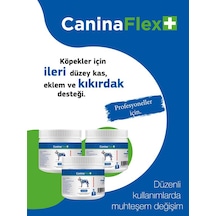 Canina Flex Collagen Glukozamin 3 x 350 G