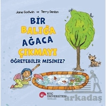Bir Balığa Ağaca Çıkmayı Öğretebilir Misiniz Koç Üniversitesi Yayınları