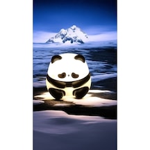 Sevimli Panda Gece Lambası Şarjz Edebilir Çok Renkli