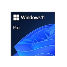 MS WINDOWS 11 PRO 32/64 BIT TR KUTU USB HAV-00159