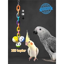 Ayrex Ozzipetshop Jako Pakistan Papağan Renkli Toplu Zilli Oyuncak 27-28 Cm