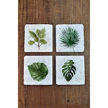 Yeşil Bitkiler, Yaprak Temalı Doğal Taş Bardak Altlığı - Stone Coasters Çok Renkli