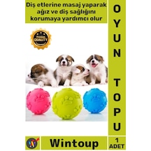 Top Kaliteli Kauçuk Diş Kaşıyıcı İnteraktif Eğitici Çiğneme Oyun Pati Desenli Köpek Isırma Topu