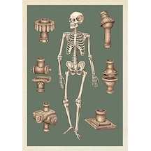 Anatomicum Postcard Box