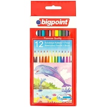 Bigpoint Aquarelle Boya Kalemi 12 Renk  Fırçalı