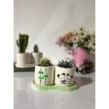Tabaklı Bambu Panda Desenli El Çizimi Saksı Seti Hediyelik Kalemlik
