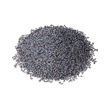 Gupguru Tane Mavi Haşhaş 1 Kg