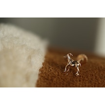 Reis Kuyumculuk T9705 The Goat Tragus Altın  Küpe