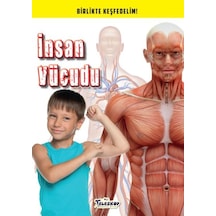 İnsan Vücudu - Birlikte Keşfedelim - Rxlu-597693
